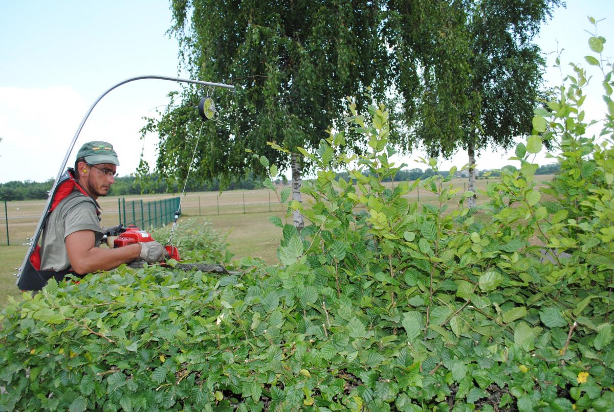 Harnais trompe d'éléphant en démonstration
